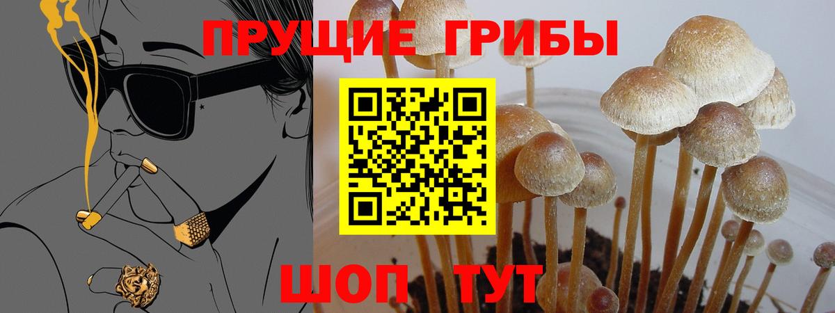 Псилоцибиновые грибы мухоморы  Псилоцибиновые грибы мицелий  Вход с VPN  Кузнецк 